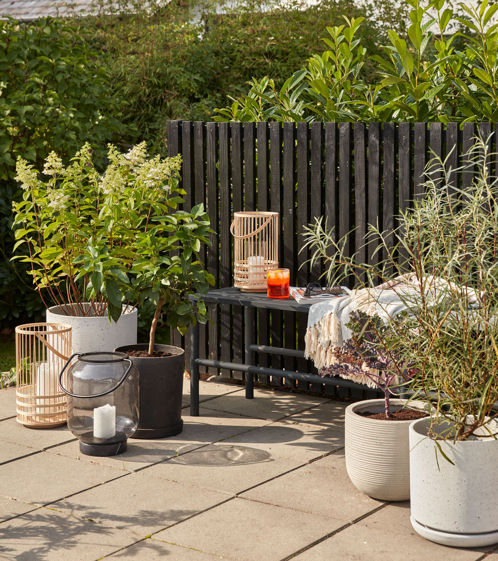 Ambiance terrasse avec lanternes en bambou et plantes vertes
